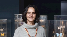 נגה קרונפלד שור, צילום: יעל צור